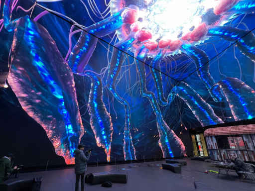 Sea life showcased in 8K on giant immersive screens in free film experience in London