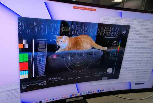 Cat video beamed 31 million km from deep space back to Earth