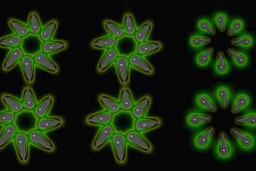 LEDs can be &#039;grown&#039; with control over location and size of each individual crystal